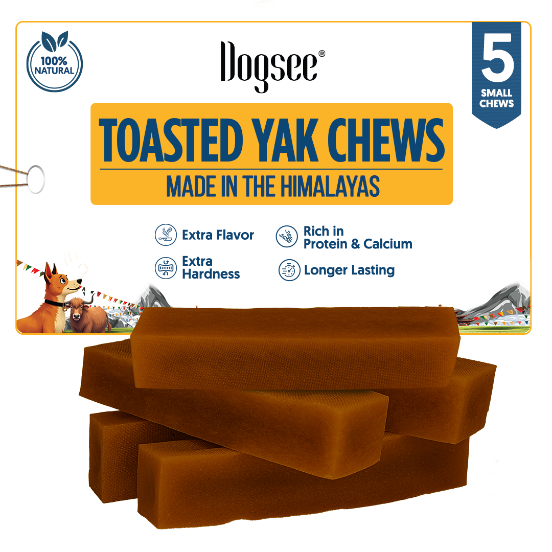 page loading GIF - Dogsee